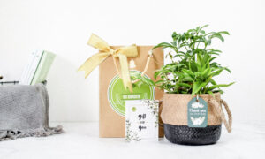 Bí Kiếp Tặng Quà Dành Cho Phái Đẹp - 9X GARDEN