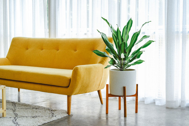 Biến phòng khách thành không gian xanh - 9X GARDEN