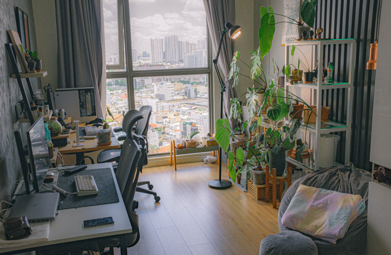 Cây trong nhà (Indoor plant) và thực trạng người chơi
