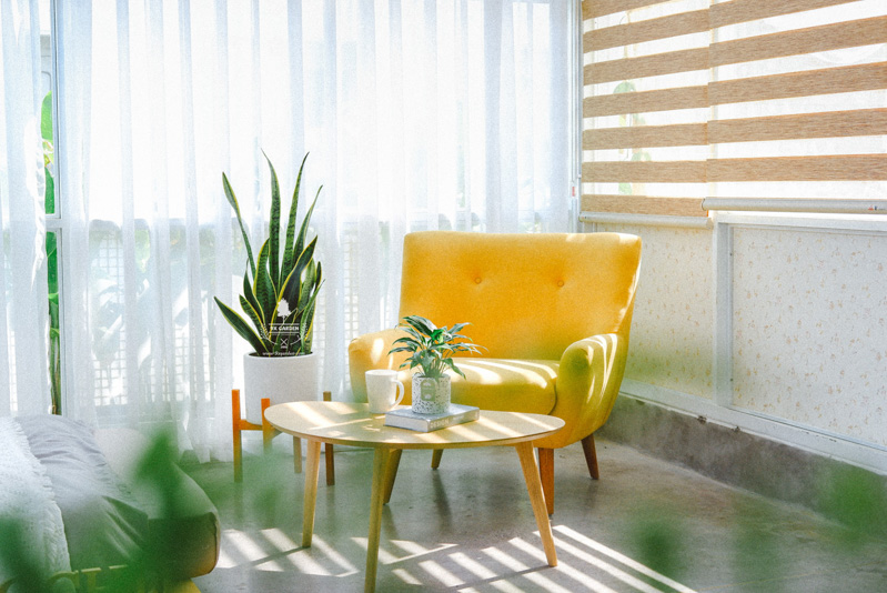 Cây trong nhà (Indoor plant) và thực trạng người chơi