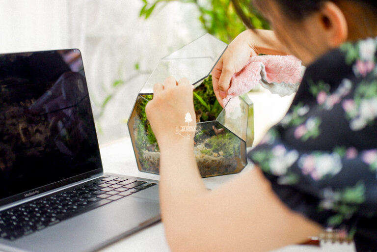 Terrarium by 9X GARDEN