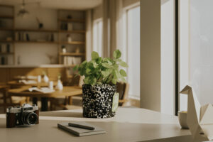 Đặc điểm và Ý nghĩa phong thủy của Bạc Hà Nhật