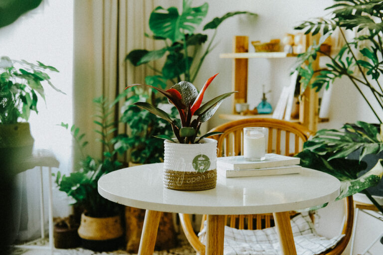 Đặc điểm và Ý nghĩa phong thủy của Đế Vương Đ