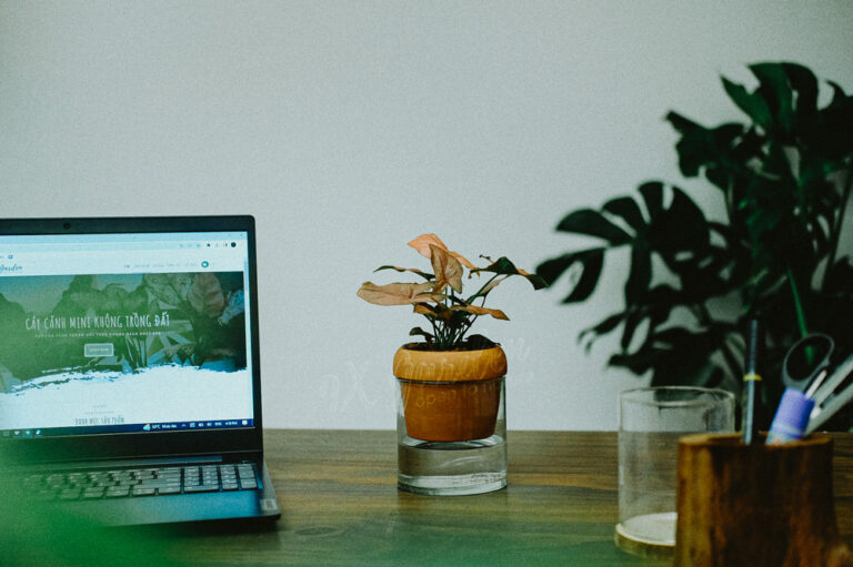 Đặc điểm và Ý nghĩa phong thủy của Môn Hồng | 9X