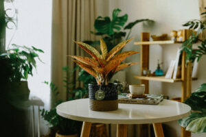 Đặc điểm và Ý nghĩa phong thủy của Thịnh Vượng