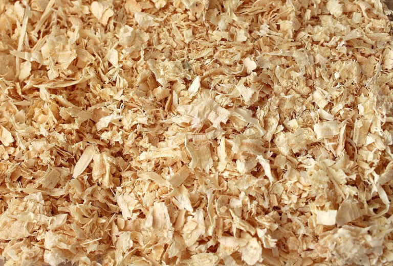 Giá thể và những điều bạn cần biết - 9X GARDEN