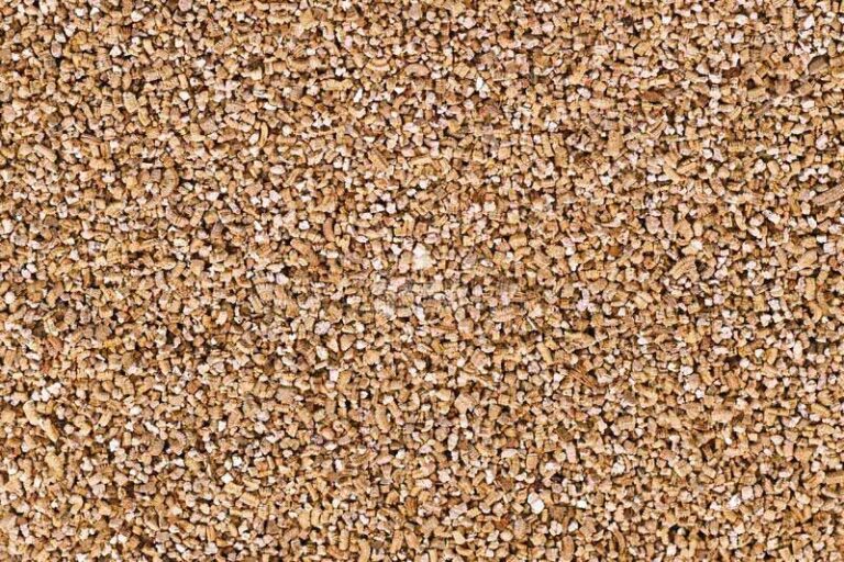 Giá thể và những điều bạn cần biết - 9X GARDEN