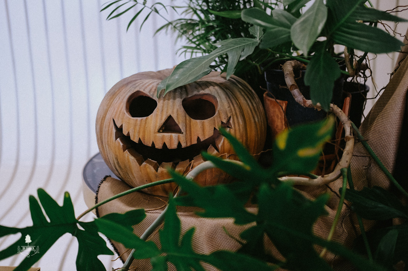 Halloween Workshop - 9X GARDEN x nest by AIA Trương Định