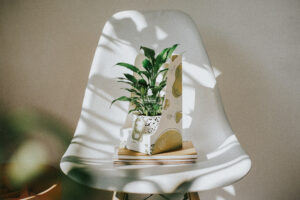Hướng dẫn chăm sóc cây Lan Ý - Spathiphyllum Wallisii