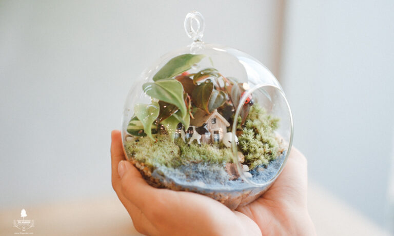 Workshop trồng cây terrarium - AIA Exchange - 9X GARDEN