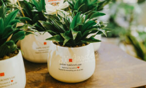 Món Quà Xanh Tri Ân Thầy Cô - 9X GARDEN