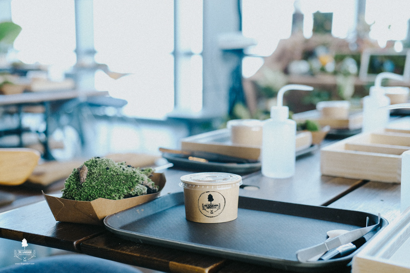 Moss Frame Workshop - 9X GARDEN x nest by AIA Landmark 81