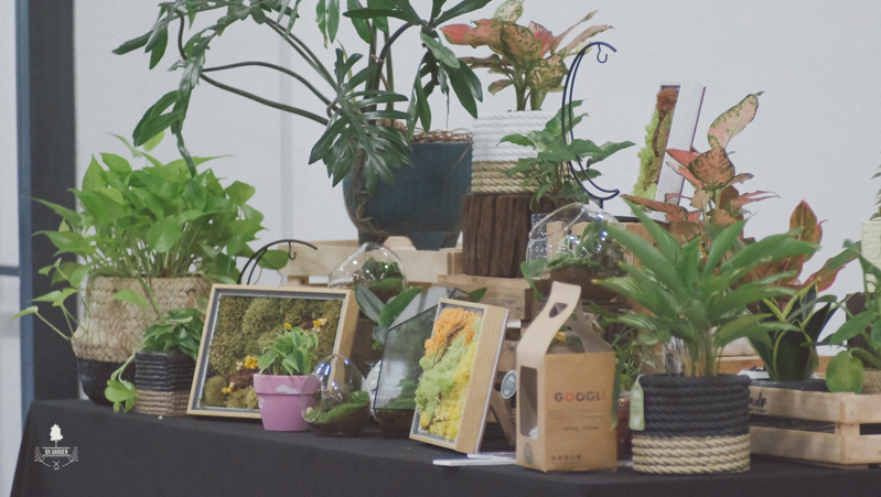 Pot Painting Workshop - 9X GARDEN x Công đoàn Viên chức TP