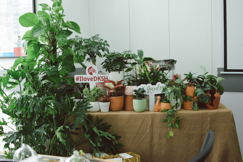 Nhật Ký Terrarium Workshop | 9X GARDEN x Cummins DKSH Hà Nội Terrarium Workshop - 9X GARDEN x DKSH Hà Nội