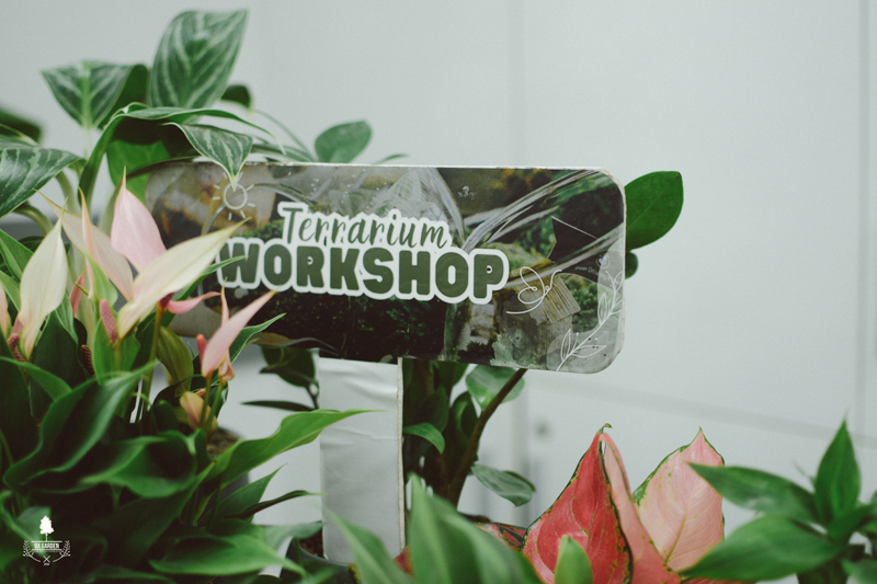 Nhật Ký Terrarium Workshop | 9X GARDEN x Cummins DKSH Hà Nội Terrarium Workshop - 9X GARDEN x DKSH Hà Nội