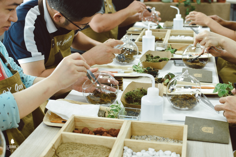 Nhật Ký Terrarium Workshop | 9X GARDEN x Cummins DKSH Hà Nội Terrarium Workshop - 9X GARDEN x DKSH Hà Nội