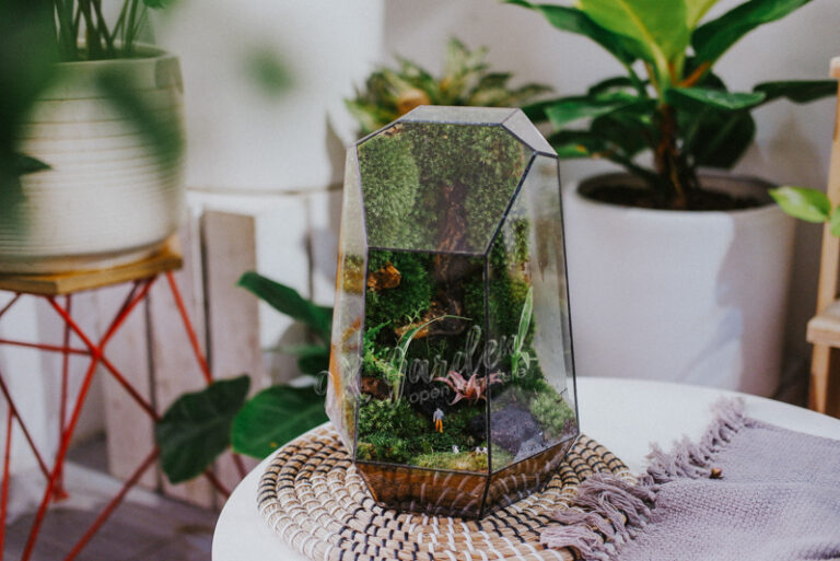 Terrarium by 9X GARDEN