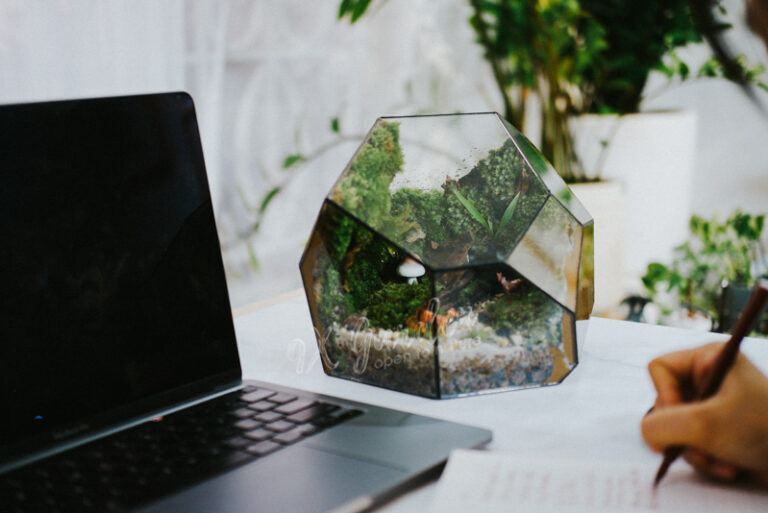 Terrarium by 9X GARDEN