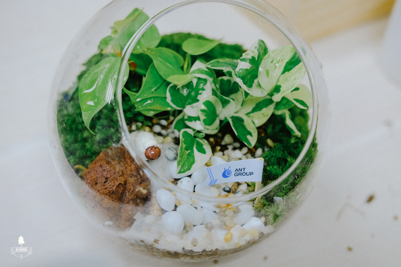 Terrarium Workshop - 9X GARDEN x Ant Group