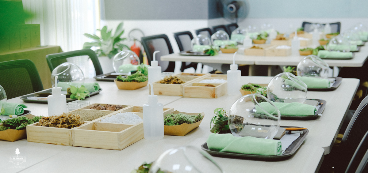 Nhật Ký Terrarium Workshop | 9X GARDEN x Ant Group Terrarium Workshop - 9X GARDEN x Ant Group