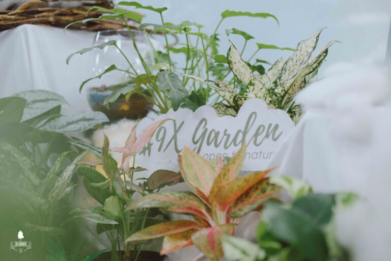 Terrarium Workshop - 9X GARDEN x Jabil Việt Nam