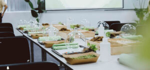 Terrarium Workshop - 9X GARDEN x Jabil Việt Nam
