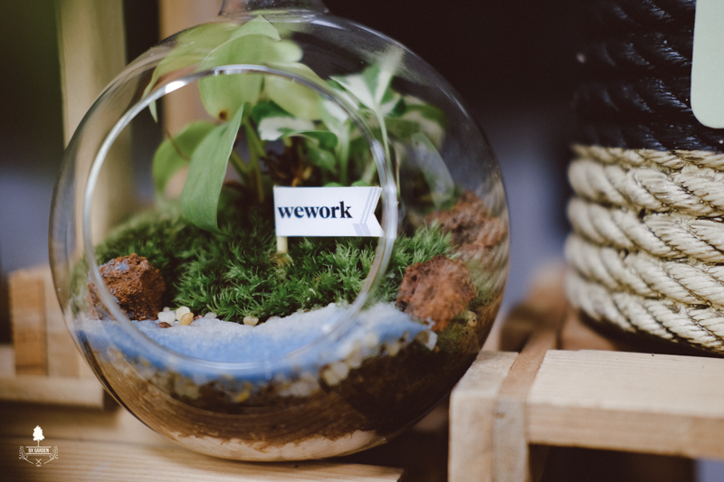 Terrarium Workshop - 9X GARDEN x WeWork Lim Tower 3