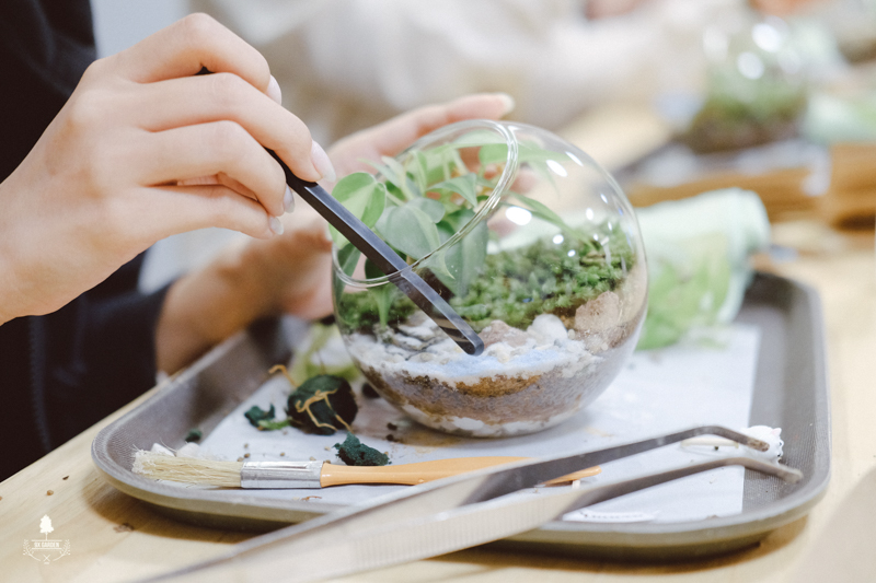 Terrarium Workshop - 9X GARDEN x WeWork Lim Tower 3