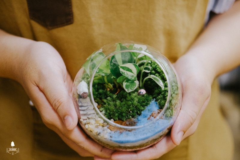 Terrarium Workshop - 9X GARDEN x WeWork Lim Tower 3