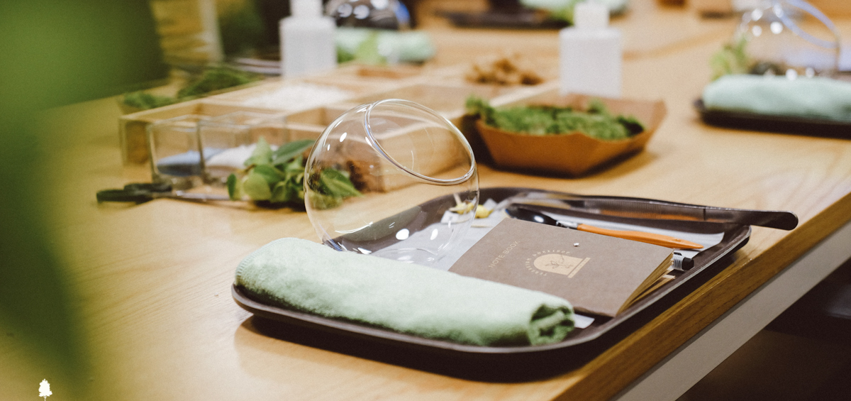 Nhật Ký Terrarium Workshop | 9X GARDEN x WeWork Lim Tower 3 Terrarium Workshop - 9X GARDEN x WeWork Lim Tower 3