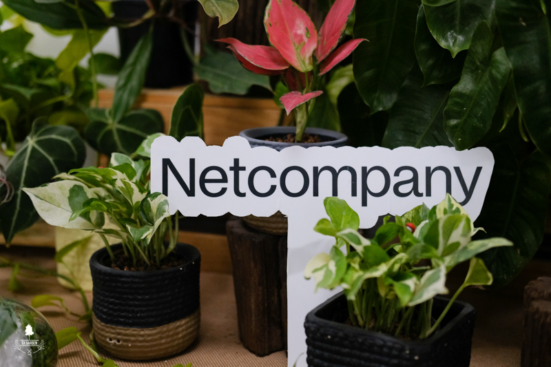 Terrarium Workshop - 9X GARDEN x Netcompany