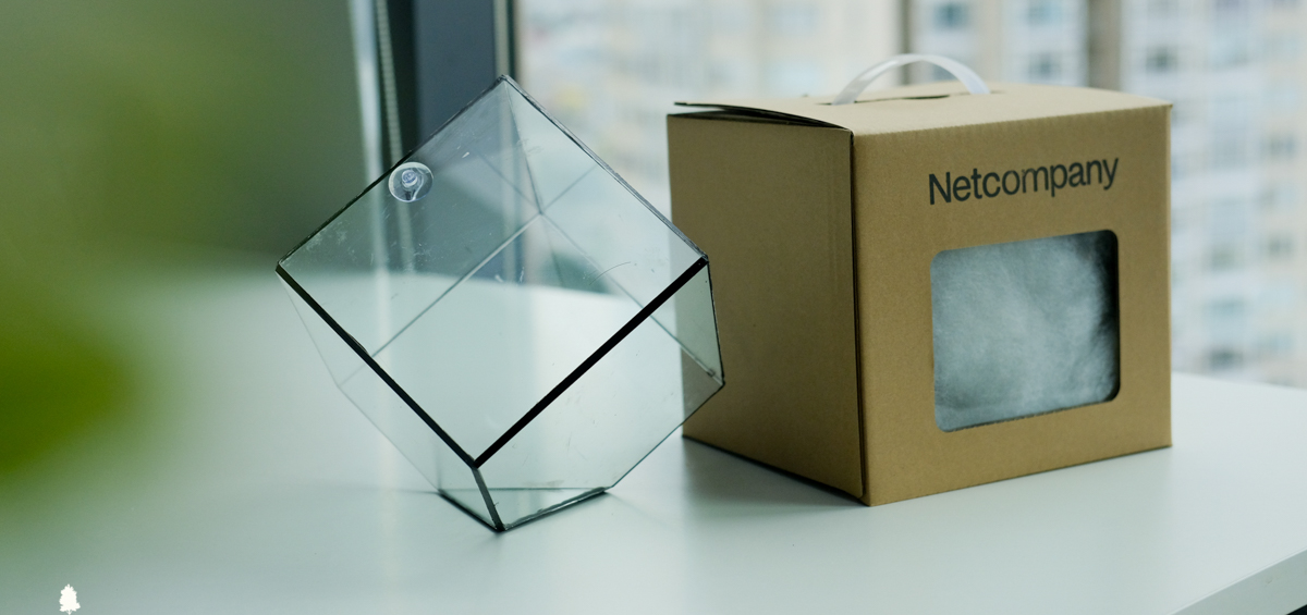 Nhật Ký Terrarium Workshop | 9X GARDEN x Netcompany Terrarium Workshop - 9X GARDEN x Netcompany