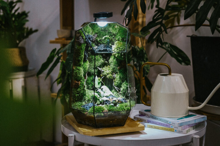 Terrarium by 9X GARDEN