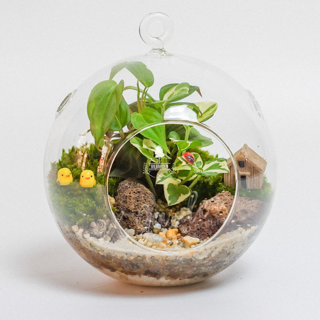 Terrarium – Family & Home 007