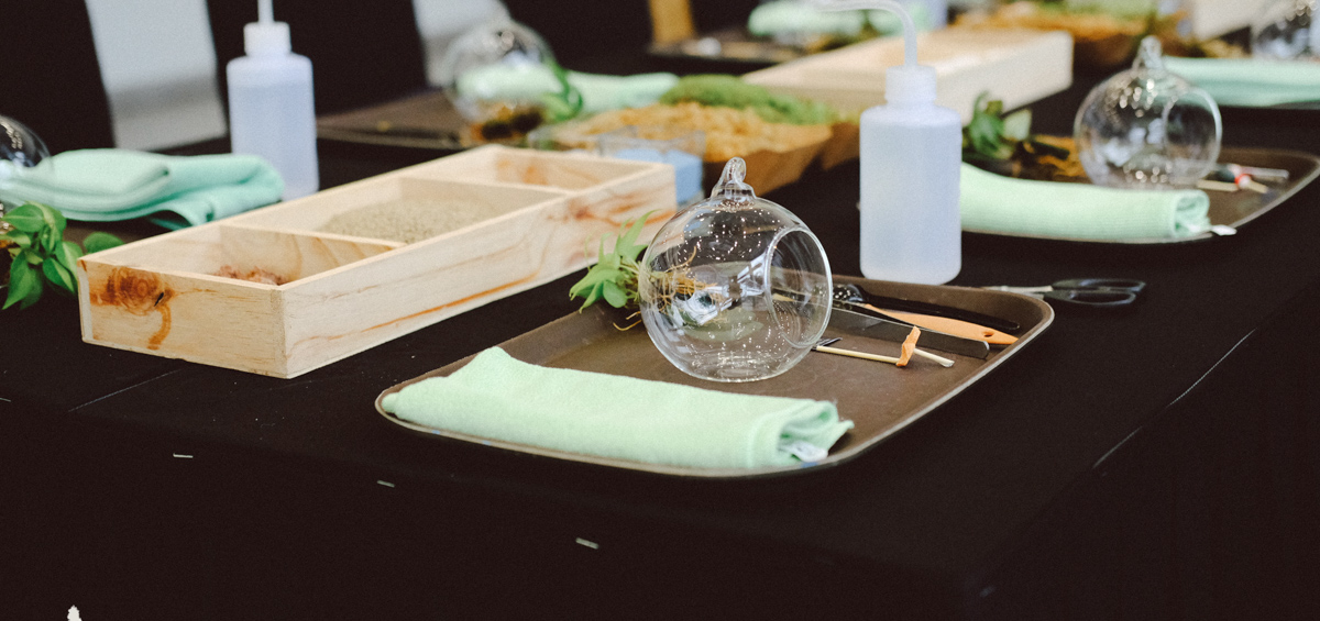 Terrarium Workshop - 9X GARDEN x BMW Bình Tân