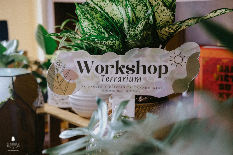 Terrarium Workshop - 9X GARDEN x UCW