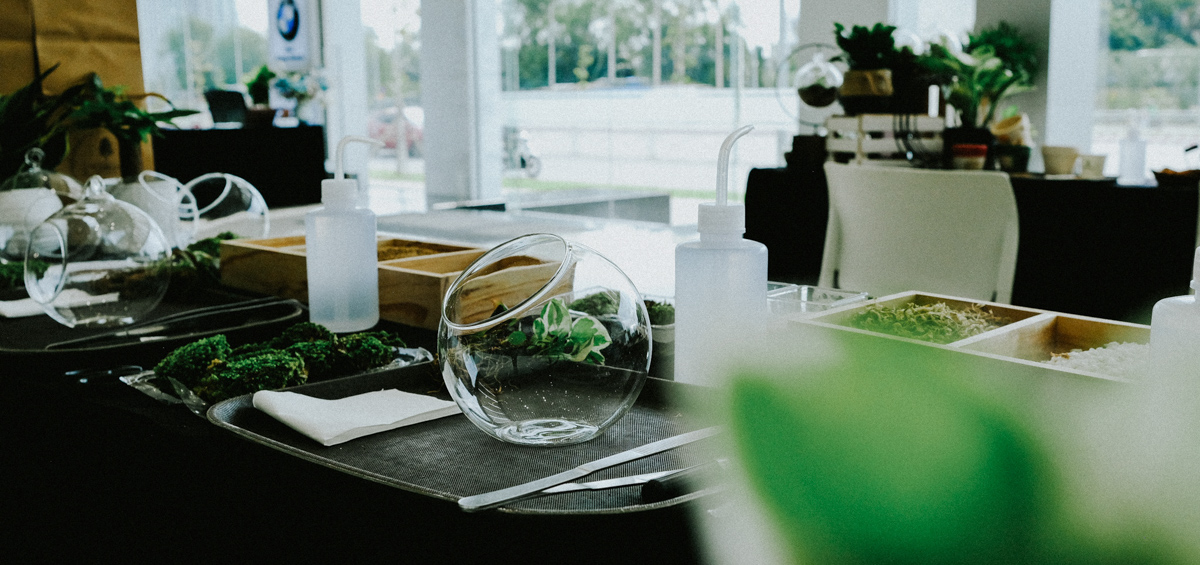 Nhật Ký Terrarium Workshop | 9X GARDEN x BMW Phú Mỹ Hưng Terrarium Workshop - 9X GARDEN x BMW PMH