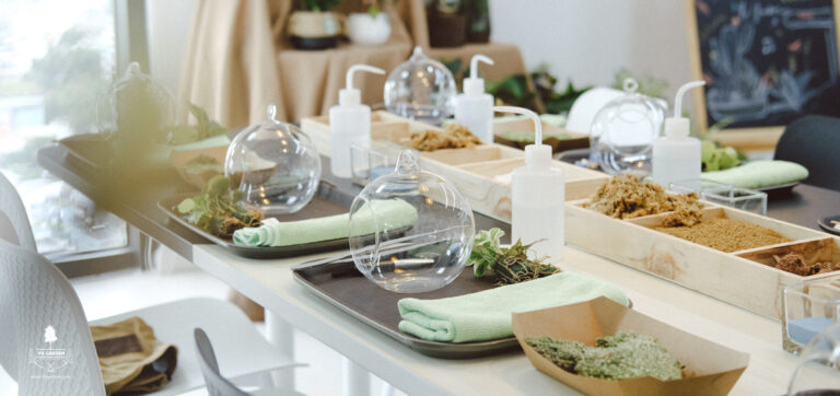 Terrarium Workshop - 9X GARDEN x DAO Music Entertainment
