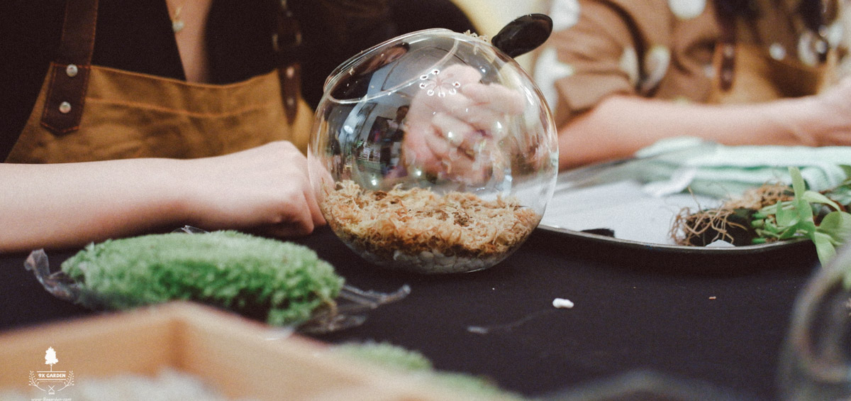 Nhật Ký Terrarium Workshop | 9X GARDEN x GlaxoSmithKline Terrarium Workshop | 9X GARDEN x GlaxoSmithKline