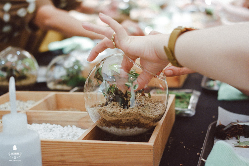 terrarium-workshop-9x-garden-x-glaxosmithkline-20-1.jpg