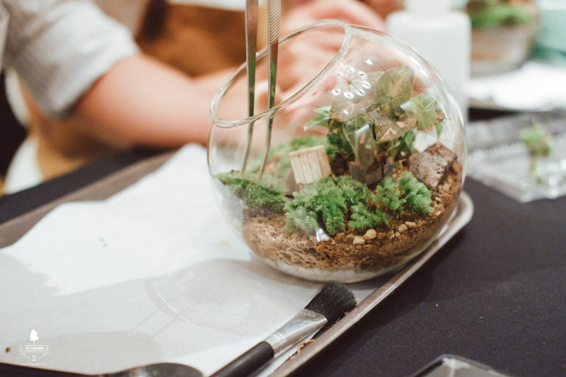 terrarium-workshop-9x-garden-x-glaxosmithkline-28-1.jpg