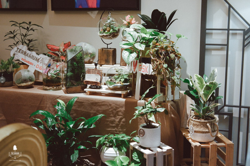 terrarium-workshop-9x-garden-x-glaxosmithkline-7-1.jpg