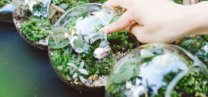 Terrarium Workshop | 9X GARDEN x Heineken