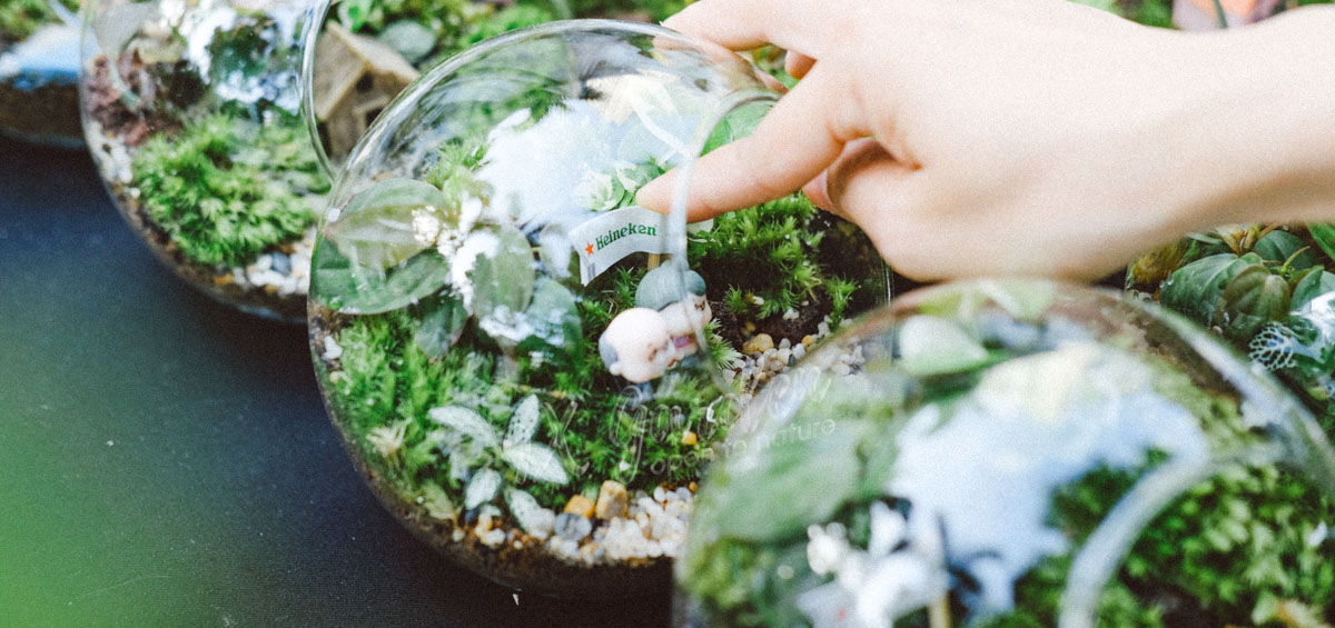 Terrarium Workshop | 9X GARDEN x Heineken