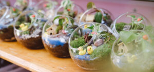 Terrarium Workshop - 9X GARDEN x KIS HCMC