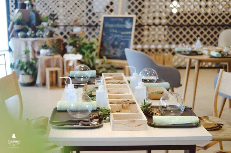 Terrarium Workshop - 9X GARDEN x KLOUD