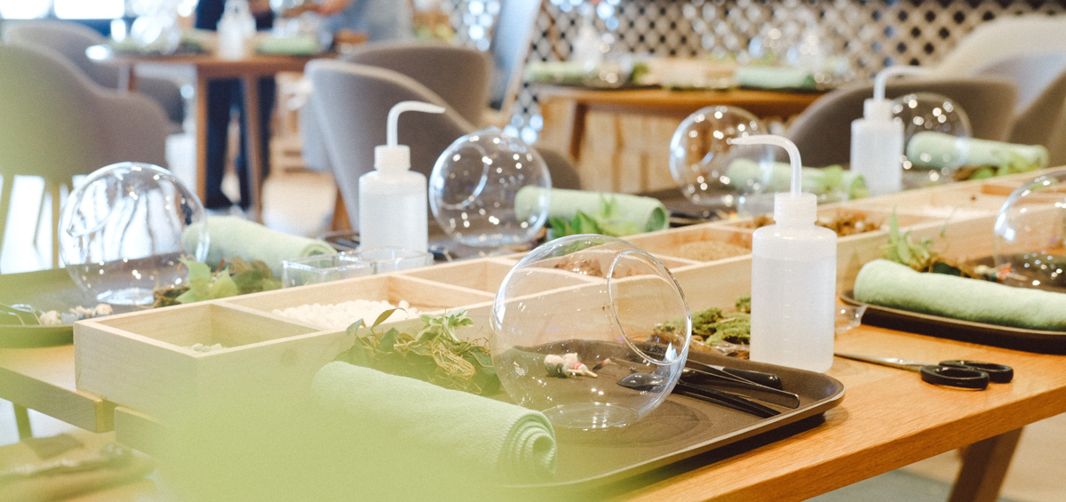 Nhật Ký Terrarium Workshop | 9X GARDEN x KLOUD Terrarium Workshop - 9X GARDEN x KLOUD