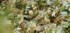 Terrarium Workshop | 9X GARDEN x L'Oréal Việt Nam