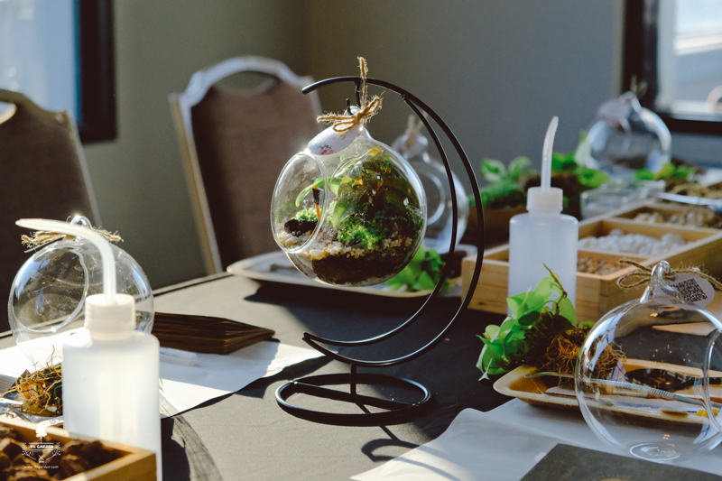 Terrarium Workshop - 9X GARDEN x Palazzo