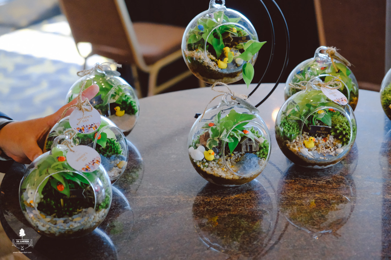 Terrarium Workshop - 9X GARDEN x Palazzo